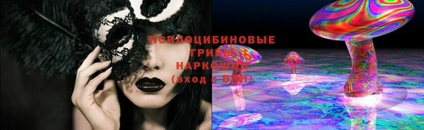 крисы Горно-Алтайск