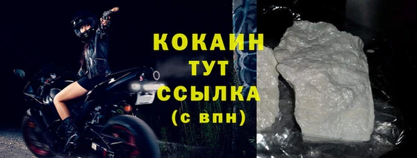 молекула духа Горняк