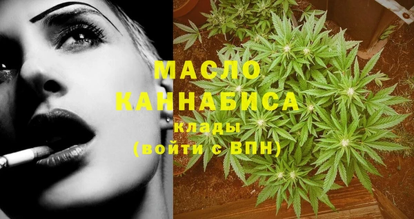 молекула духа Горняк