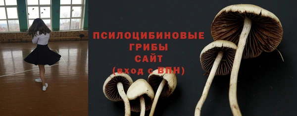 молекула духа Горняк