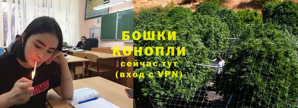 молекула духа Горняк