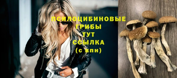 молекула духа Горняк