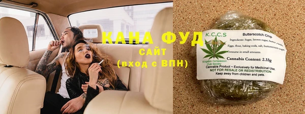 молекула духа Горняк