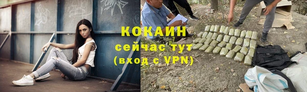 PSILOCYBIN Лихославль