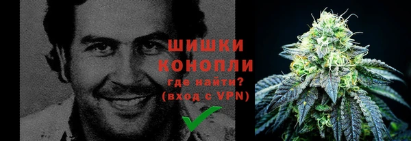 крисы Горно-Алтайск